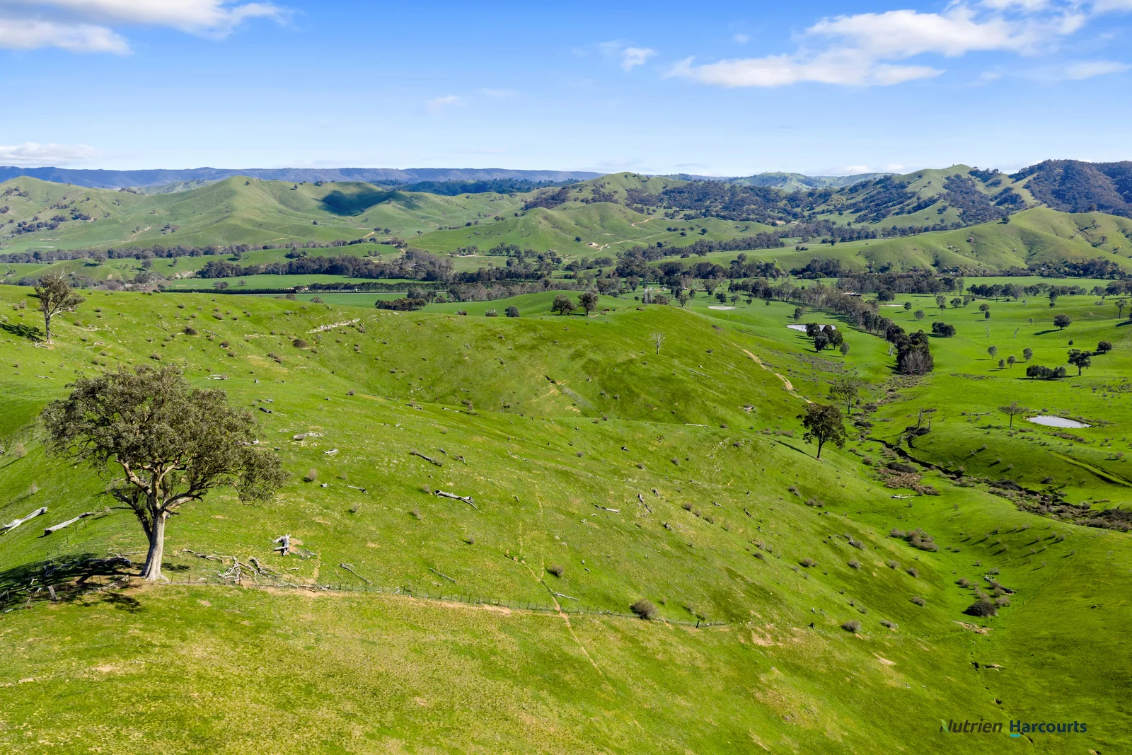 Additional image 4 of 53 Halls Outlet Road, Alexandra VIC 3714