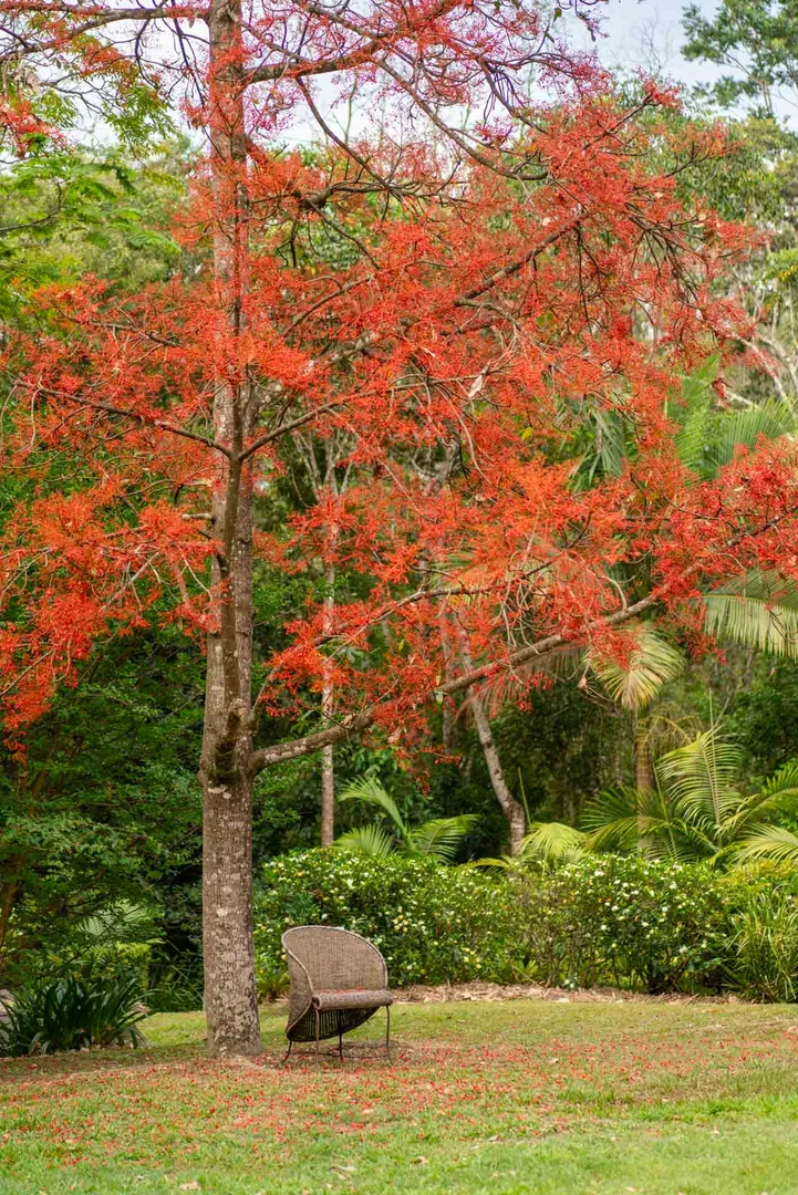 Additional image 24 of 48 Pioneer Road, Pomona QLD 4568