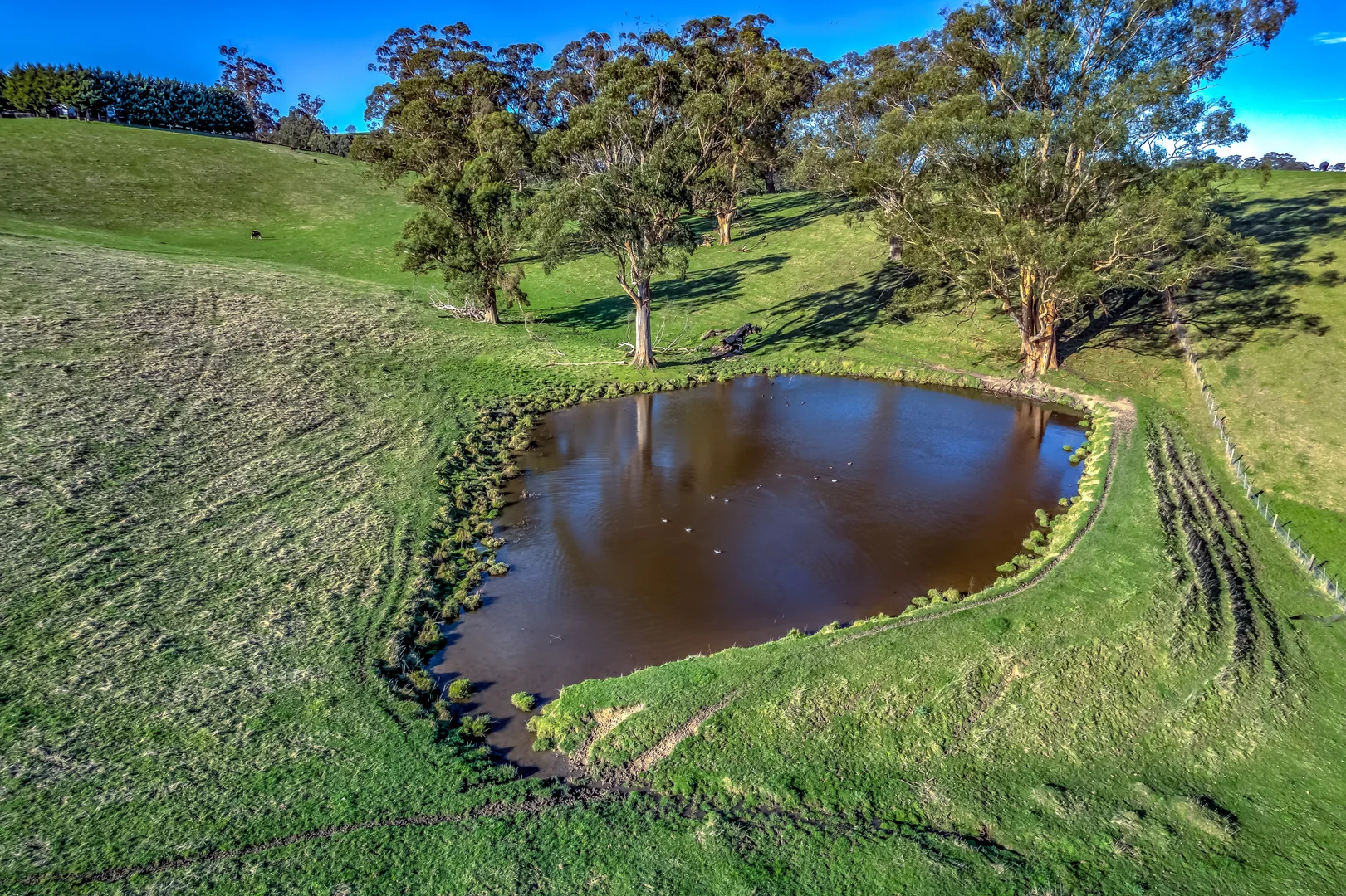 Additional image 6 of 91 Mountain View- McDonalds Track, Mountain View VIC 3988