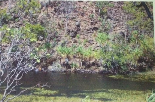 Additional image 5 of Darwin River NT 0841