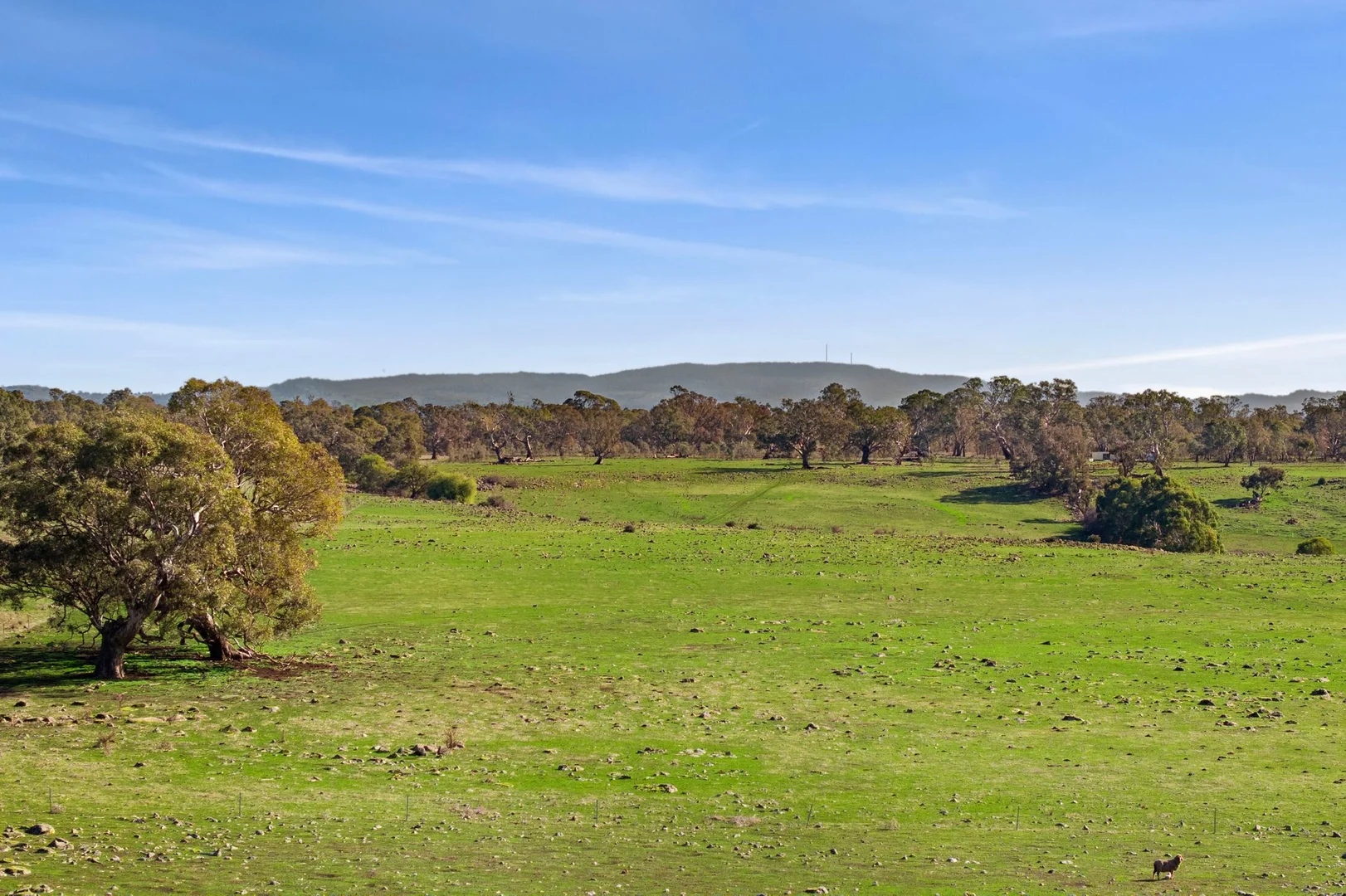 Additional image 9 of 3635 Burke and Wills Track, Mia Mia VIC 3444