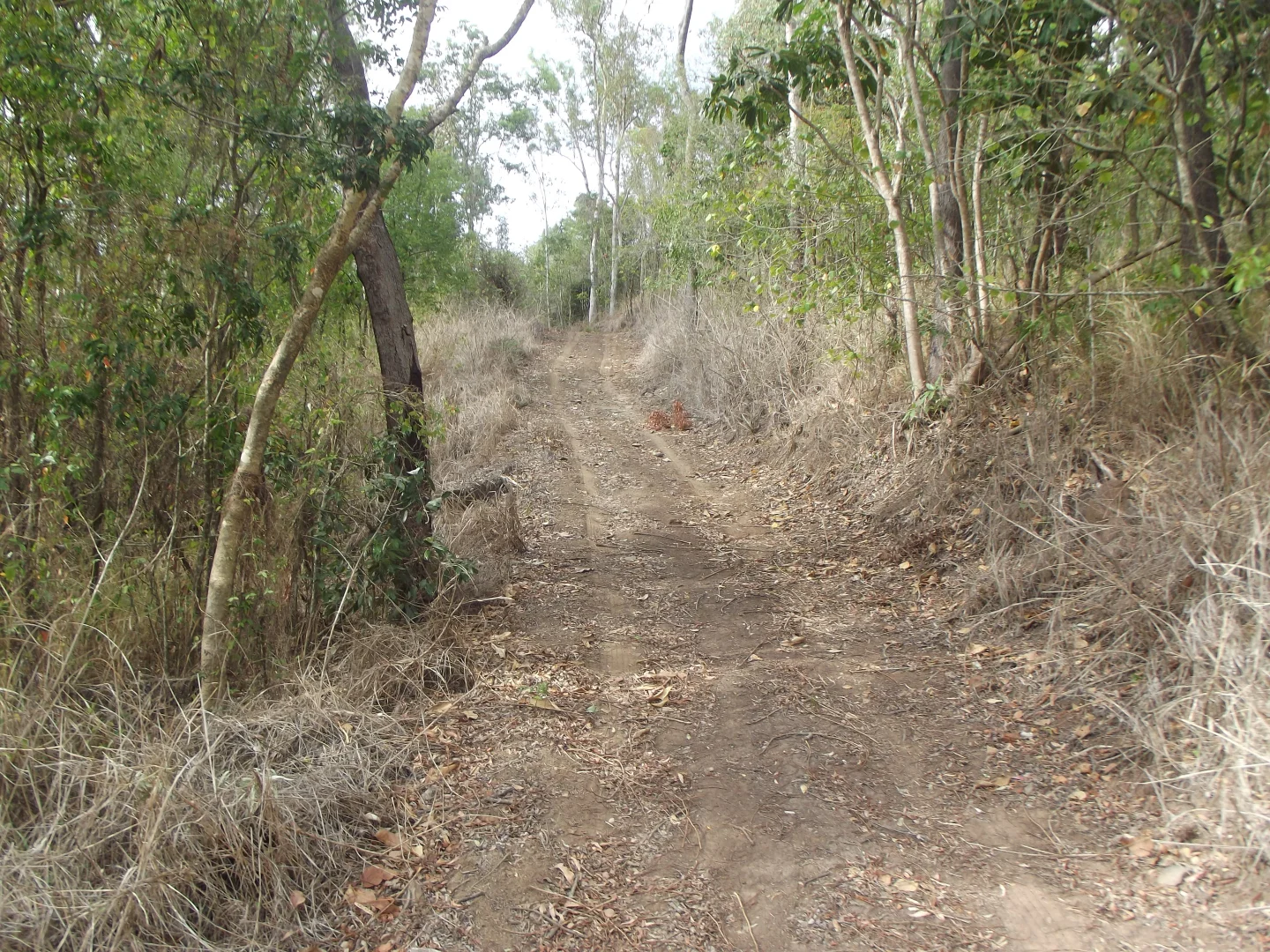 Additional image 5 of 617 Devereux Creek Road, Devereux Creek QLD 4753