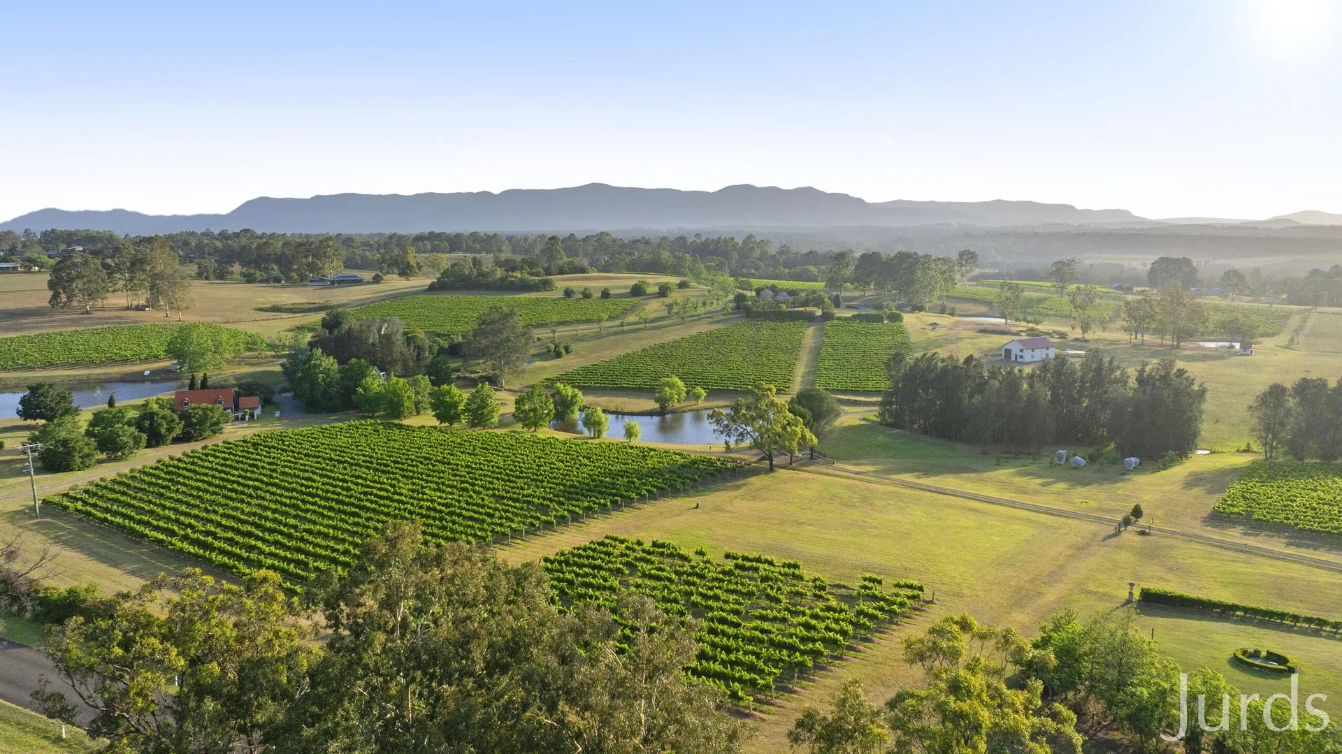 Additional image 3 of 110 Old North Road, Pokolbin NSW 2320