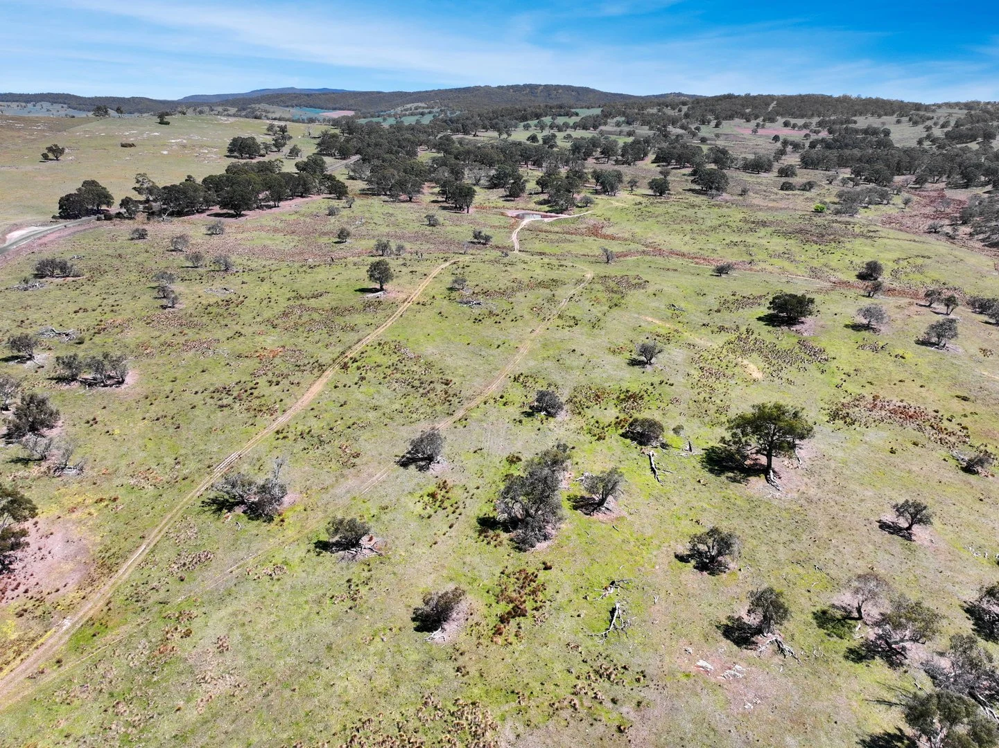 Additional image 33 of "Glenroy" Corrowong Road, Delegate NSW 2633