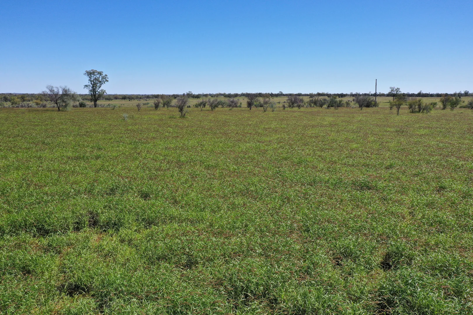 Additional image 21 of 205 Redbank Road, Roma QLD 4455