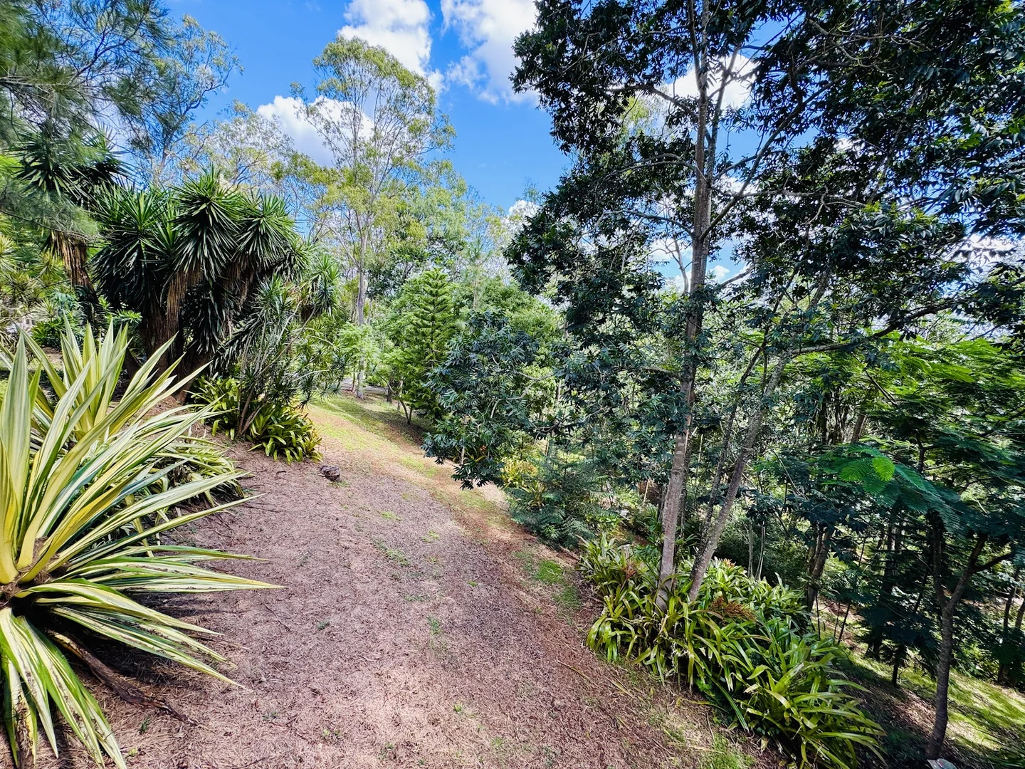 Additional image 21 of 19 Rosenstet Lane, Apple Tree Creek QLD 4660