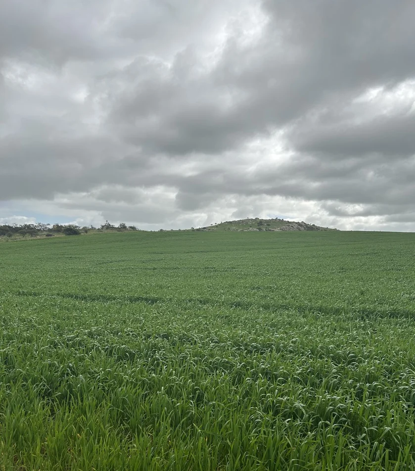 Lot 65 Forrester Road, Mount Erin WA 6532