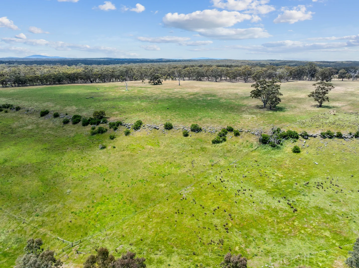 Additional image 12 of 260 Deep Creek Road, Campbelltown VIC 3364