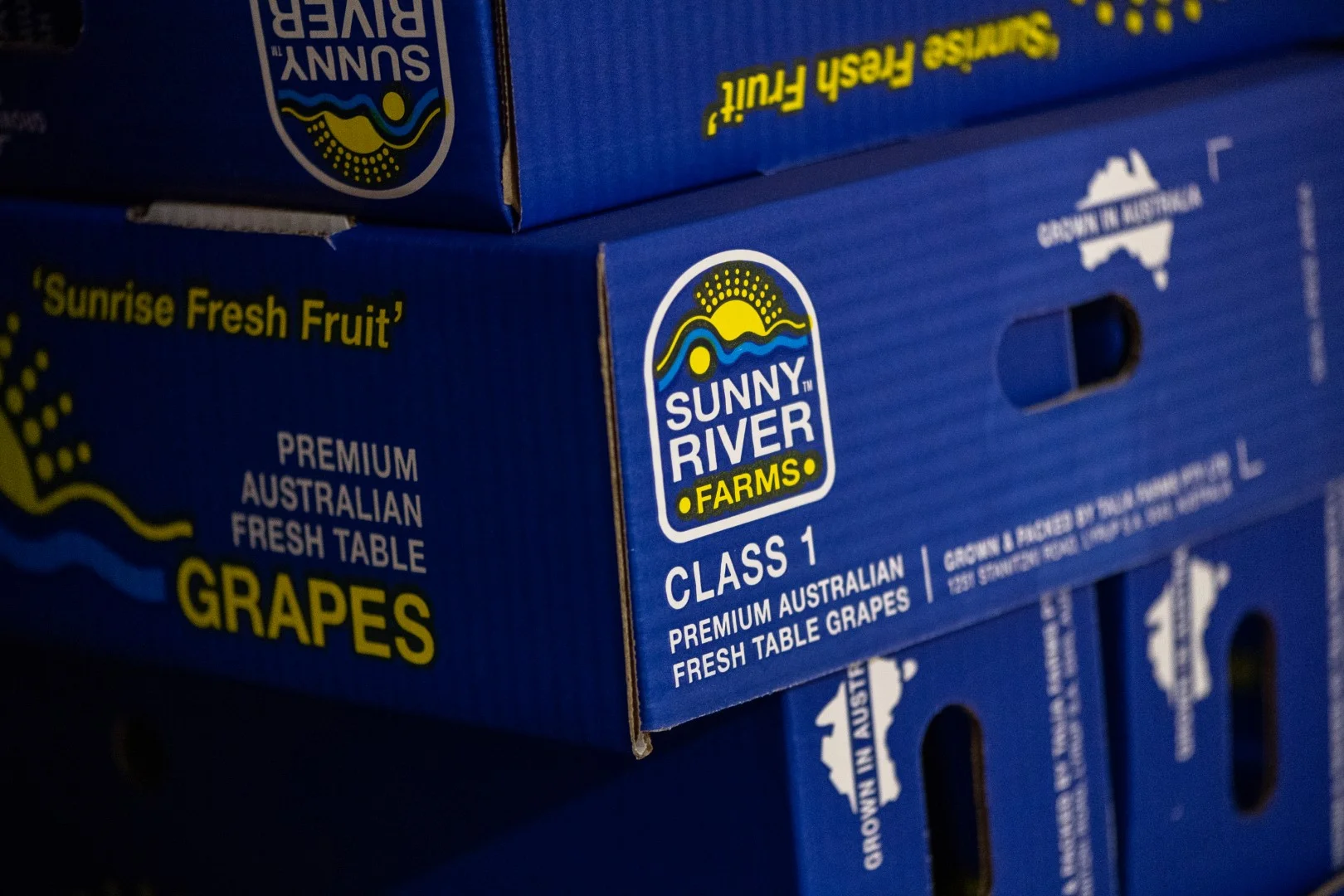 Additional image 11 of 1251 Stanitzki Road, Pike River SA 5340