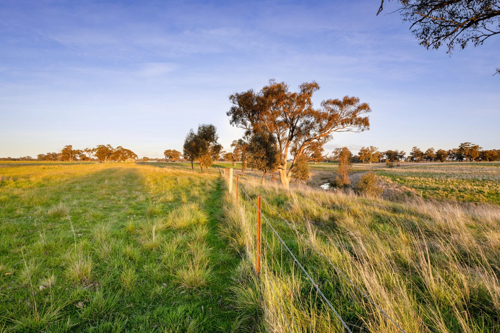Additional image 33 of 617 Police Paddocks Rd, Carlyle VIC 3685