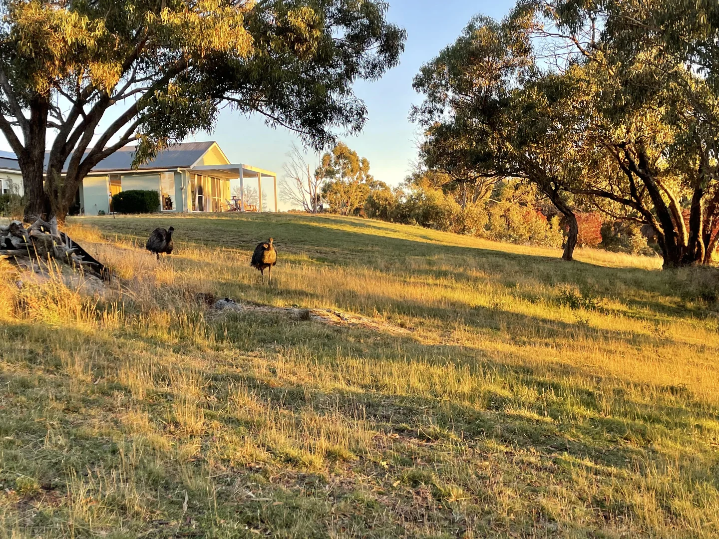 Additional image 30 of Mount Rankin NSW 2795