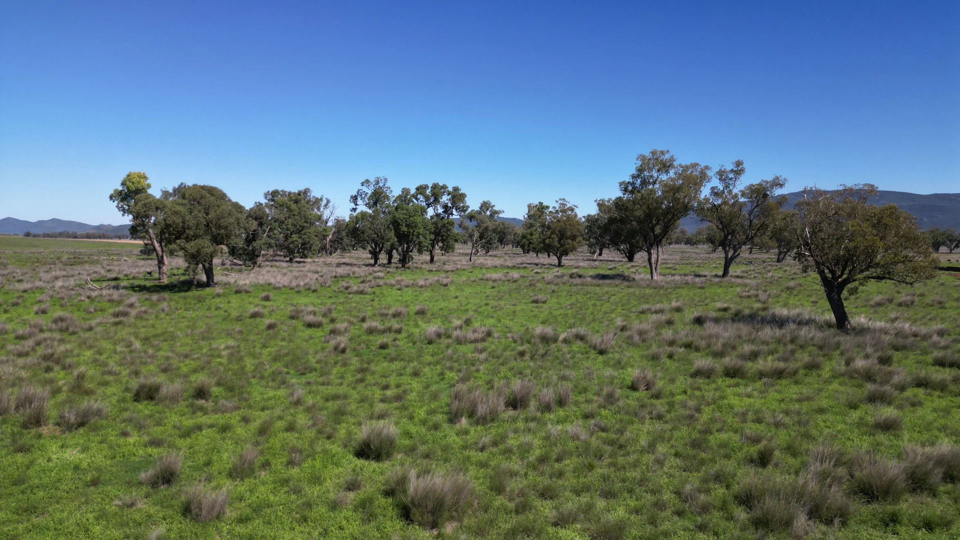 Additional image 25 of 450 Bridges Road, Gunnedah NSW 2380