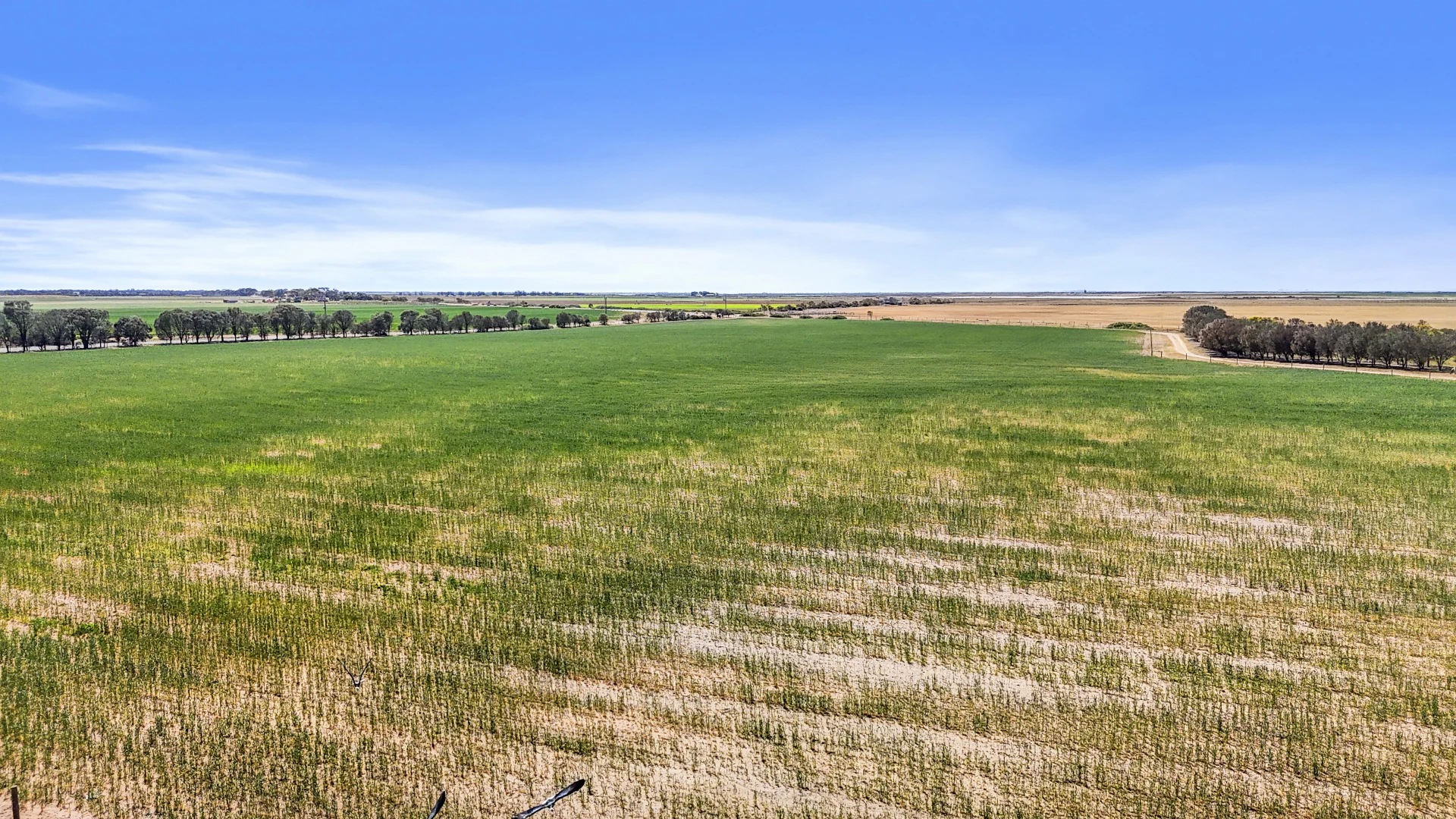 Additional image 8 of Lot 1 Tolderol Road, Langhorne Creek SA 5255