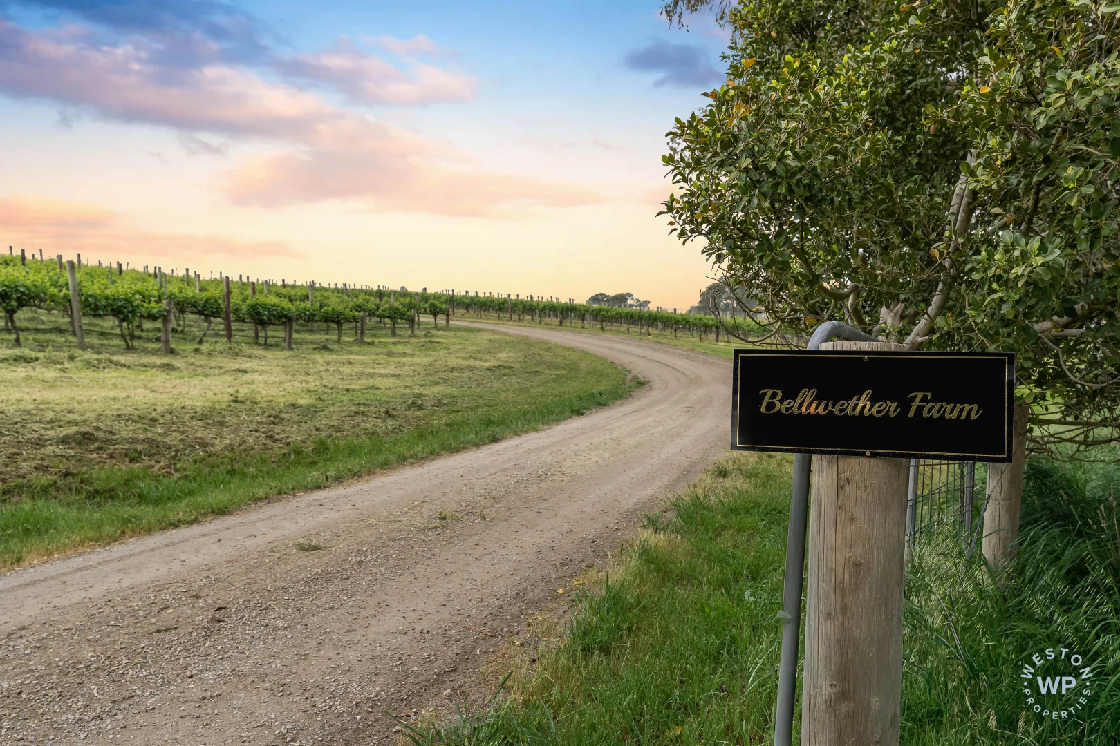 Additional image 6 of 127 Quinns Road, Forreston SA 5233