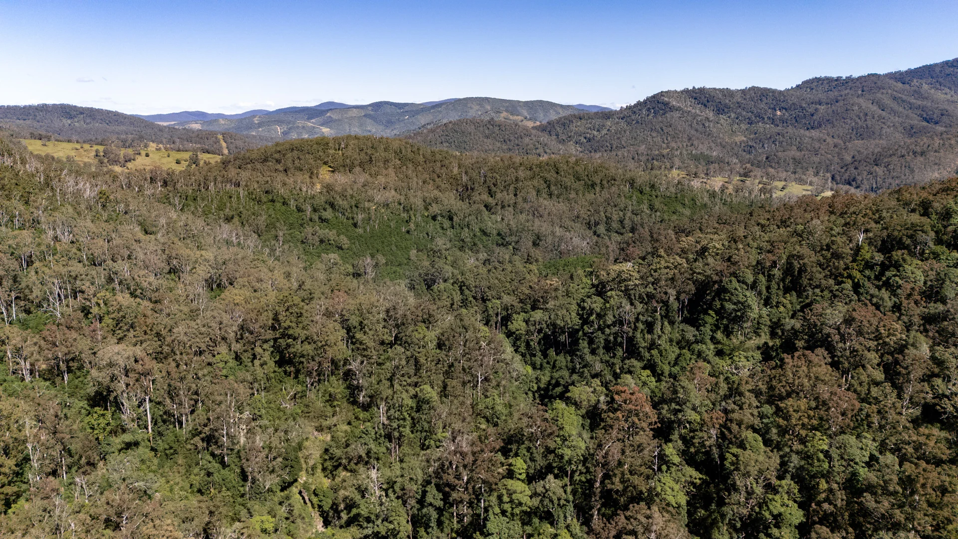 Additional image 8 of 3542 Nowendoc Road, Caffreys Flat NSW 2424