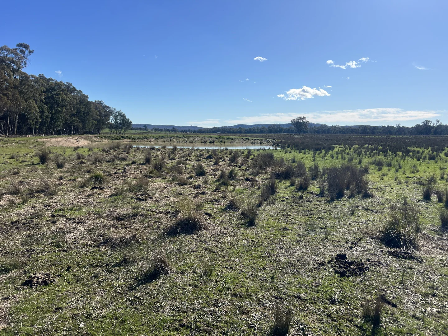 Additional image 20 of Cheesley Gate Road, Indigo Valley VIC 3688