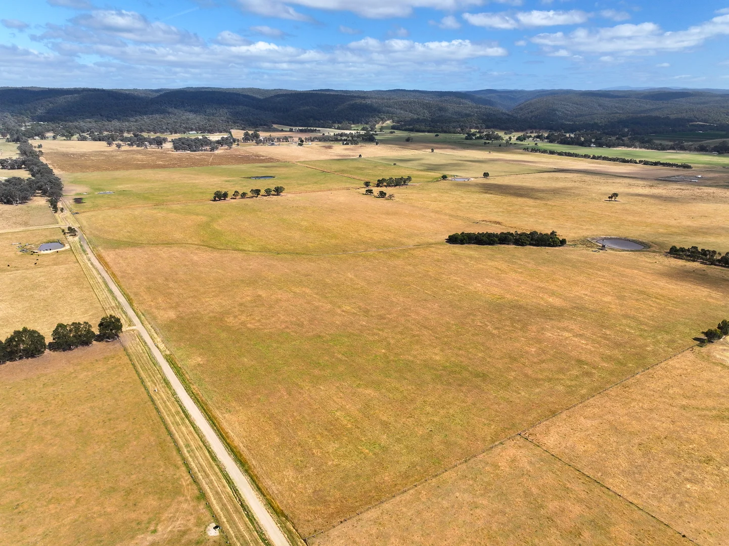 Additional image 31 of 480 Toongabbie Cowwarr Road, Cowwarr VIC 3857