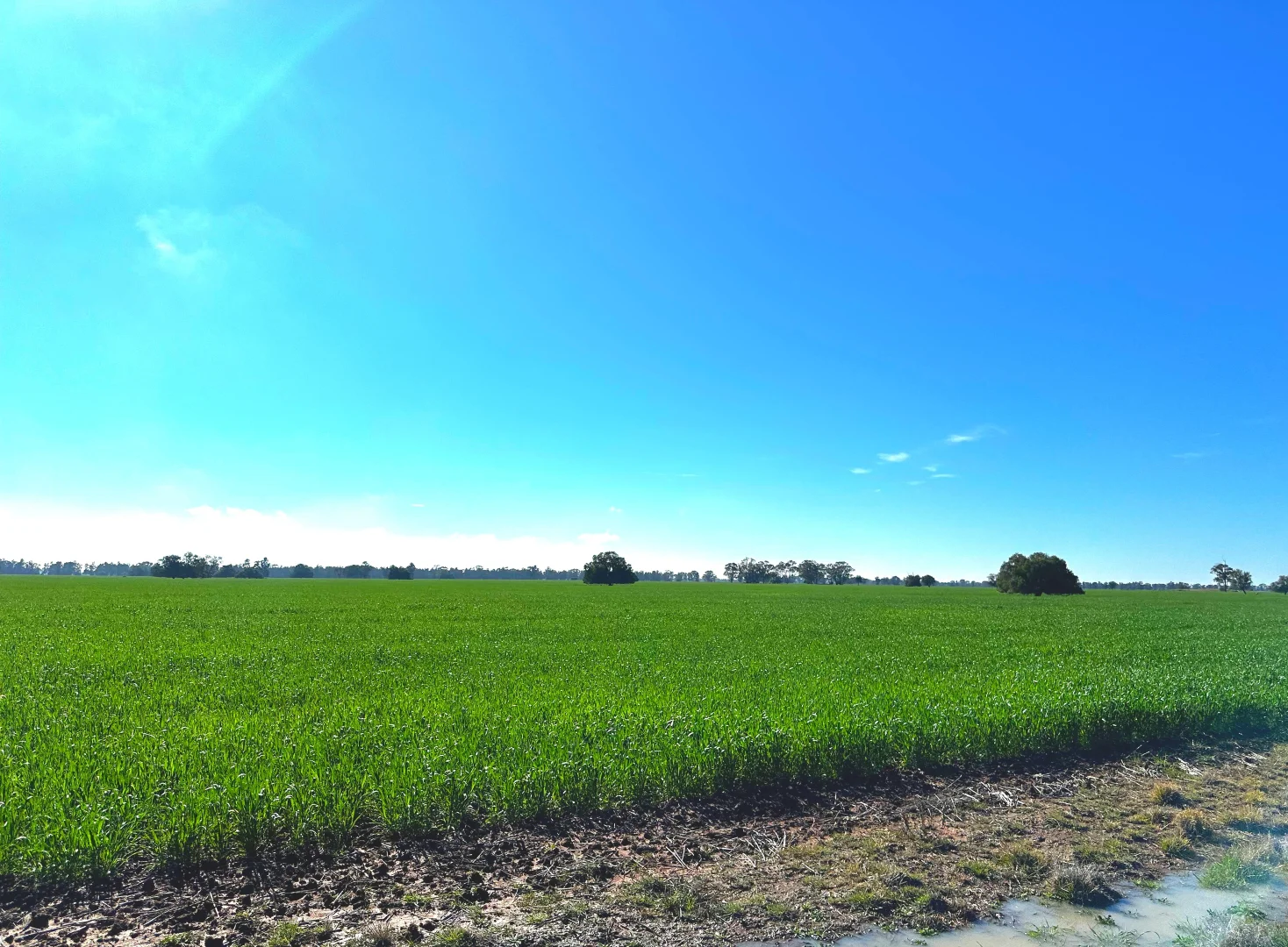 Additional image 32 of Buddabadah NSW 2825