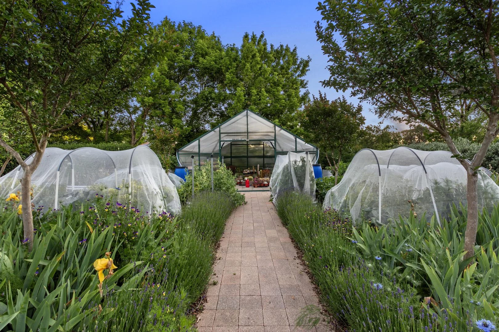 Additional image 24 of 12 Nirta Drive, Murrumbateman NSW 2582