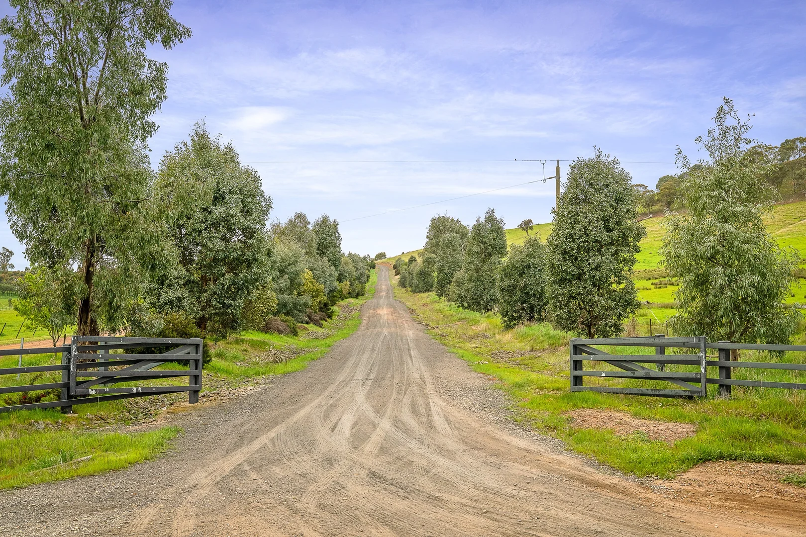 Additional image 35 of 126 Hores Road, Talgarno VIC 3691