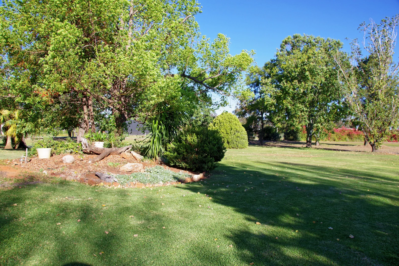 Additional image 25 of 1 Myalla Lane, Wee Waa NSW 2388