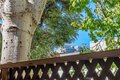 Additional image 11 of 11687 Bellagio Rd Apt 12, Los Angeles, CA, 90049