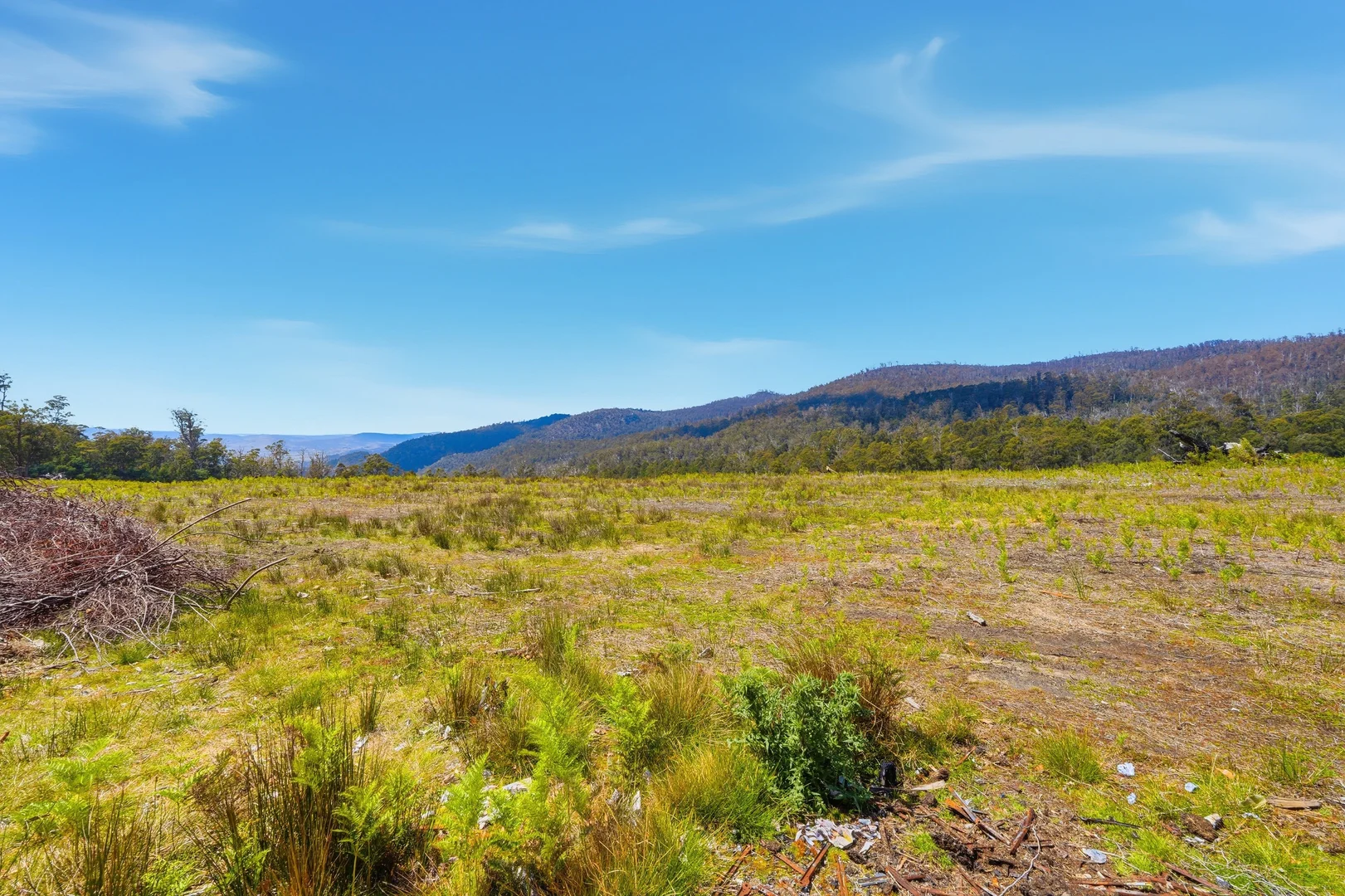 Additional image 11 of 319 Yearsley Road, Broadmarsh TAS 7030