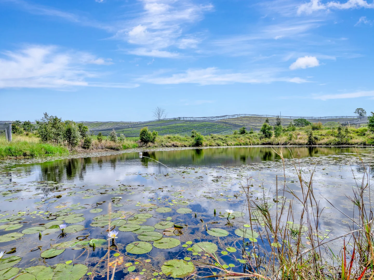 Additional image 4 of 13 Schuppe Drive, Congarinni North NSW 2447