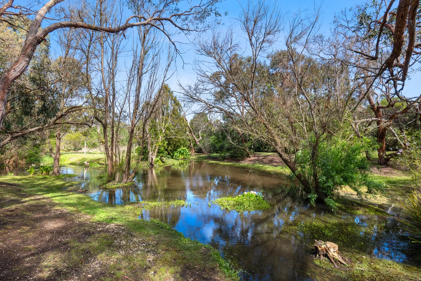 Additional image 23 of 97 Coombes Road, Torquay VIC 3228