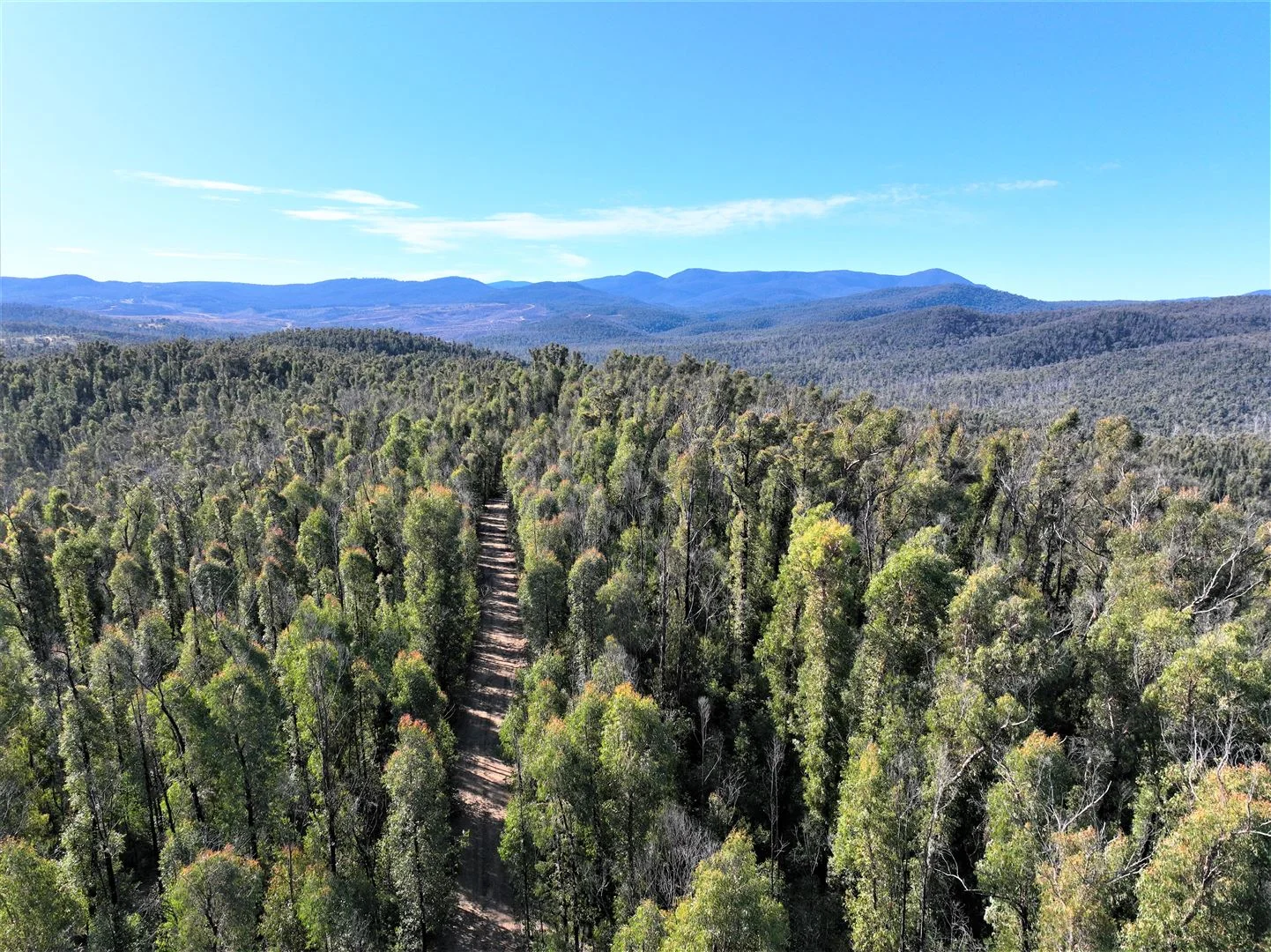 Additional image 10 of Lot 34, 35, 36, 79 Monaro Highway, Rockton NSW 2632