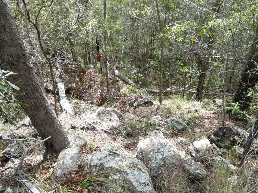 Additional image 12 of Lot 41 Moolyung Road, Waterloo QLD 4673