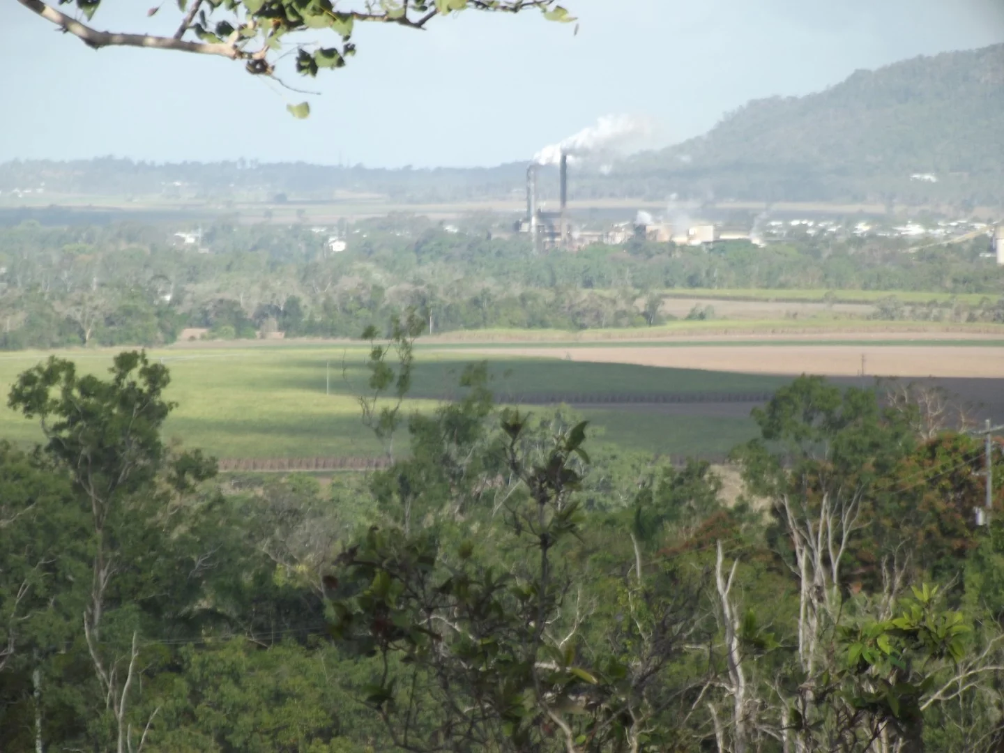 617 Devereux Creek Road, Devereux Creek QLD 4753