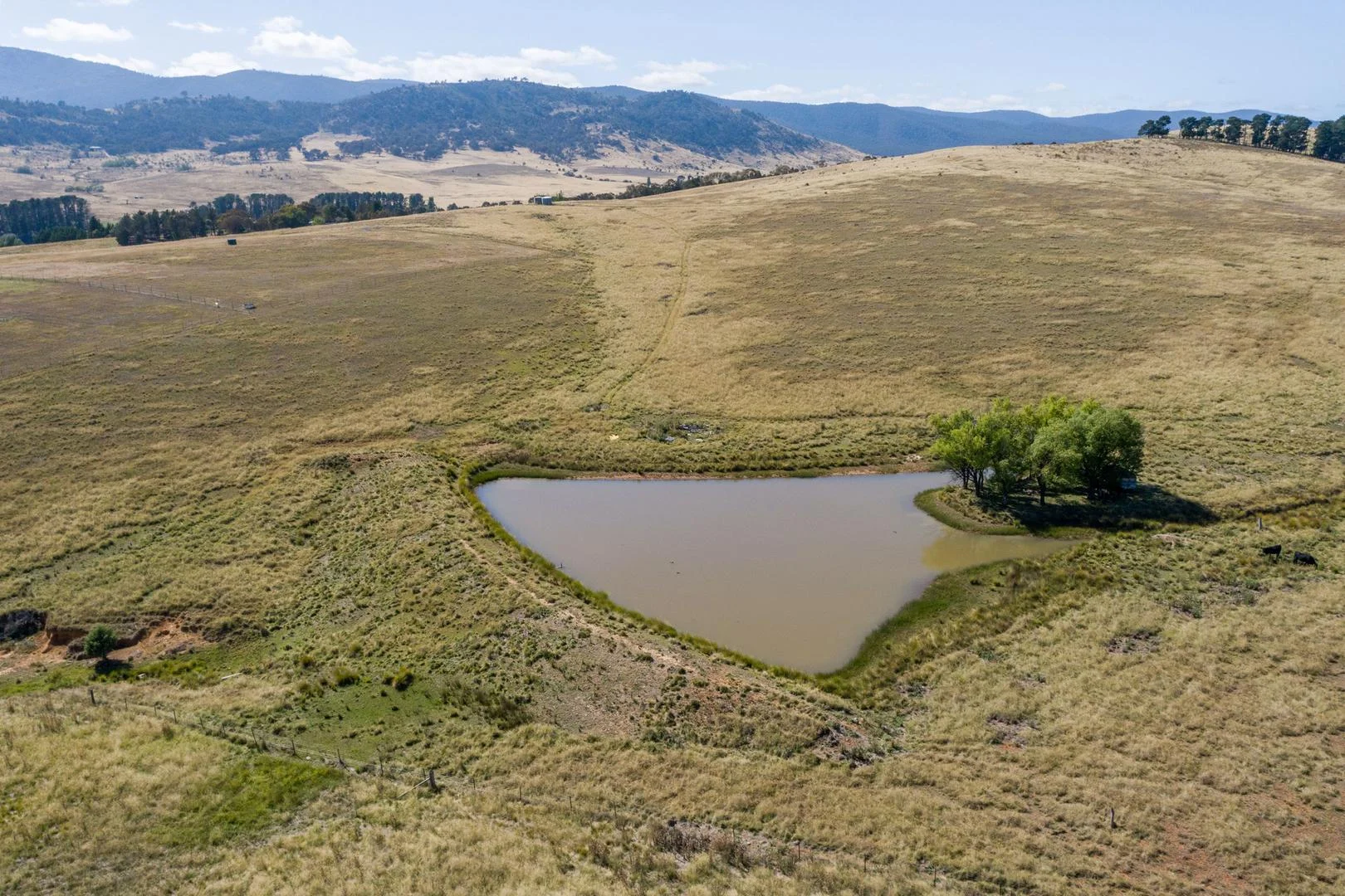 Additional image 3 of 556 Micalago Road, Michelago NSW 2620