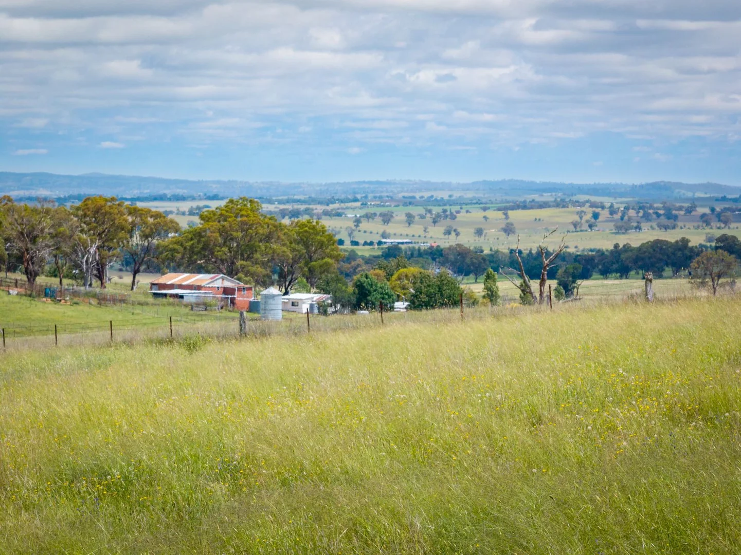 Additional image 36 of 188 Burkes Lane, Brewongle NSW 2795