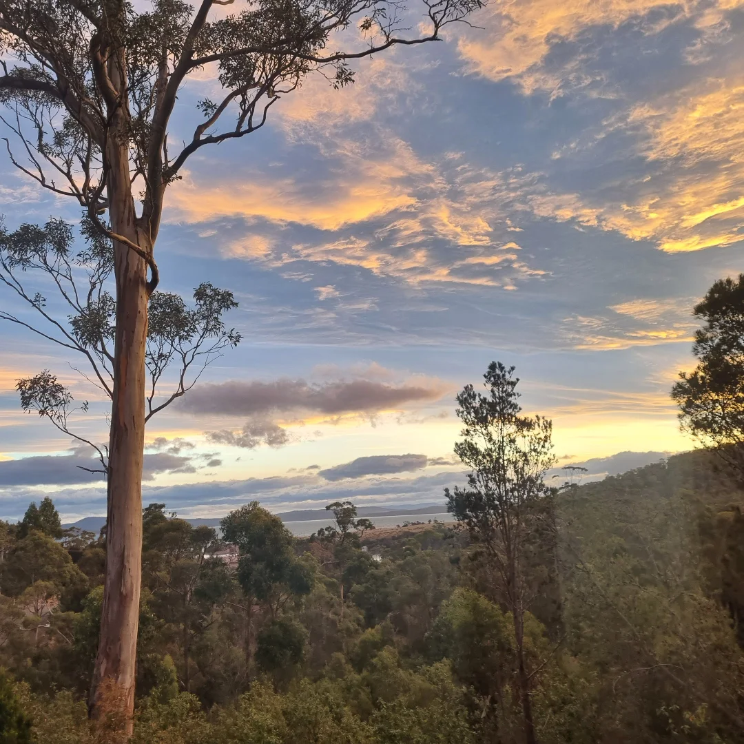 Additional image 14 of 39 Reef View Road, Murdunna TAS 7178