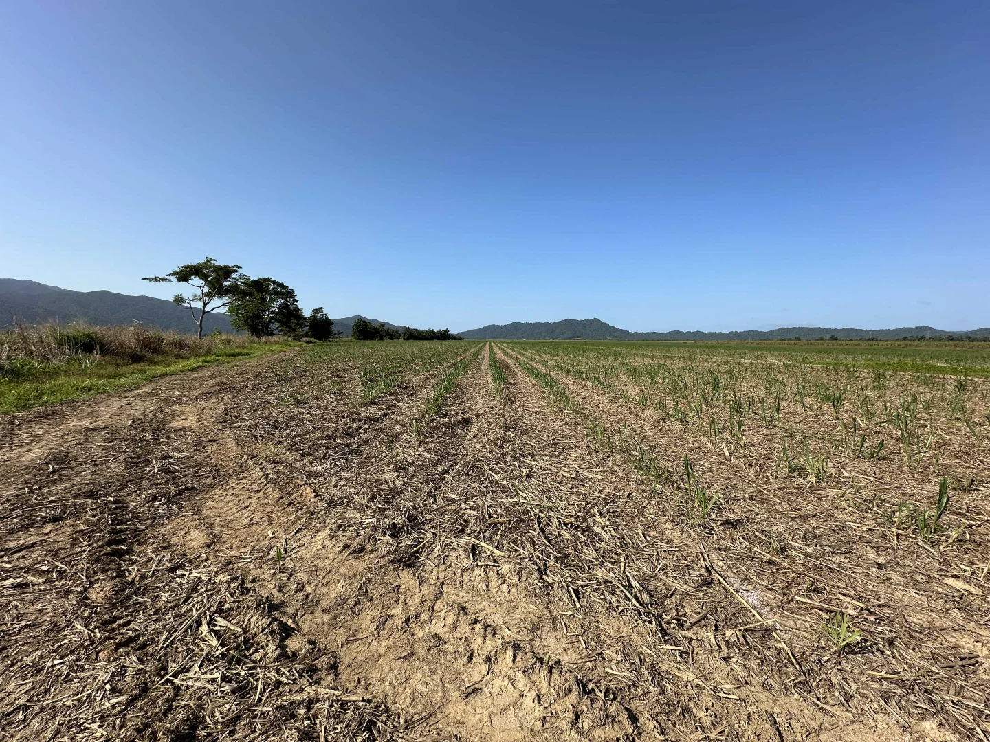 Additional image 17 of Lot 2 Broderick Road, Midgenoo QLD 4854