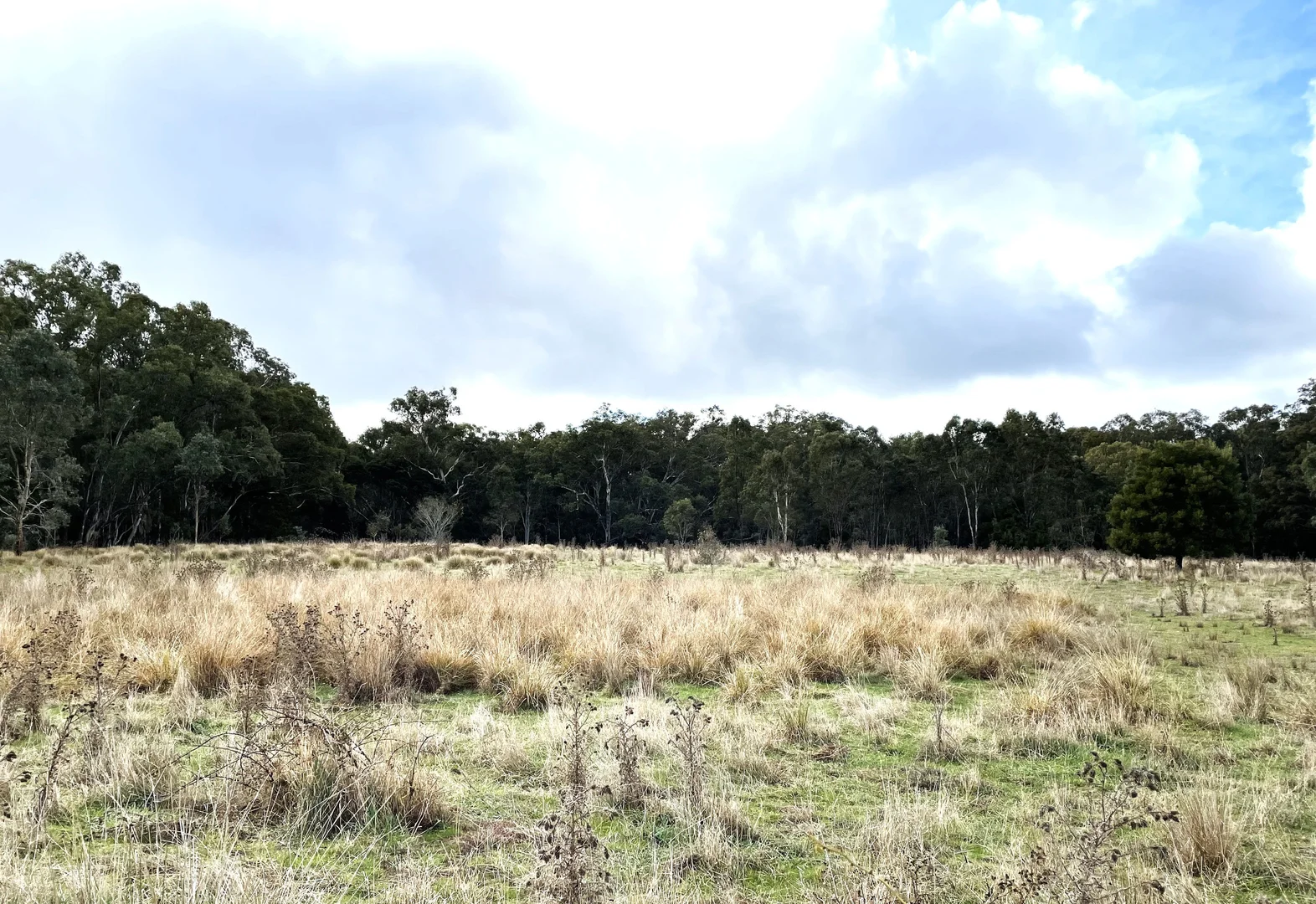 Additional image 10 of Dartmoor-Hamilton Road, Dartmoor VIC 3304