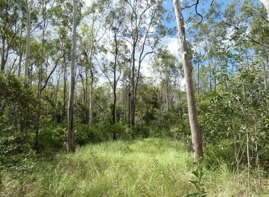 Additional image 19 of 397 Mollenhagens Road, Rosedale QLD 4674