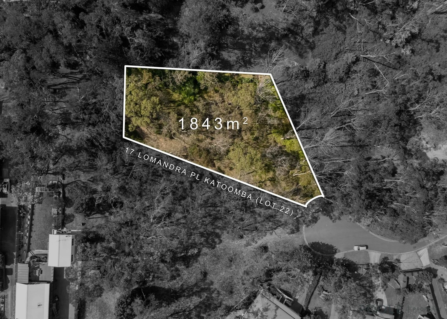 17 Lomandra Place, Katoomba NSW 2780