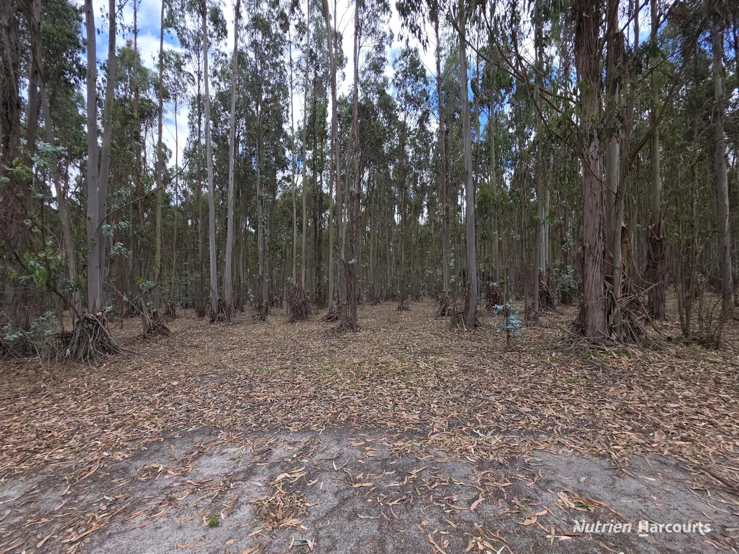 Additional image 14 of 142 Mindijup Road, Palmdale WA 6328