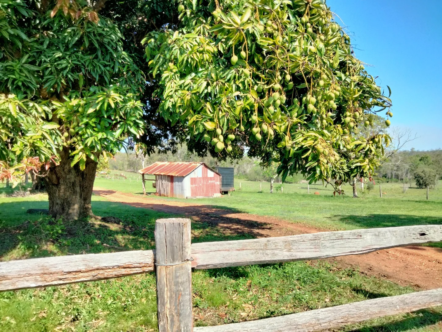 Additional image 11 of 2913 Rosedale Road, Yandaran QLD 4673