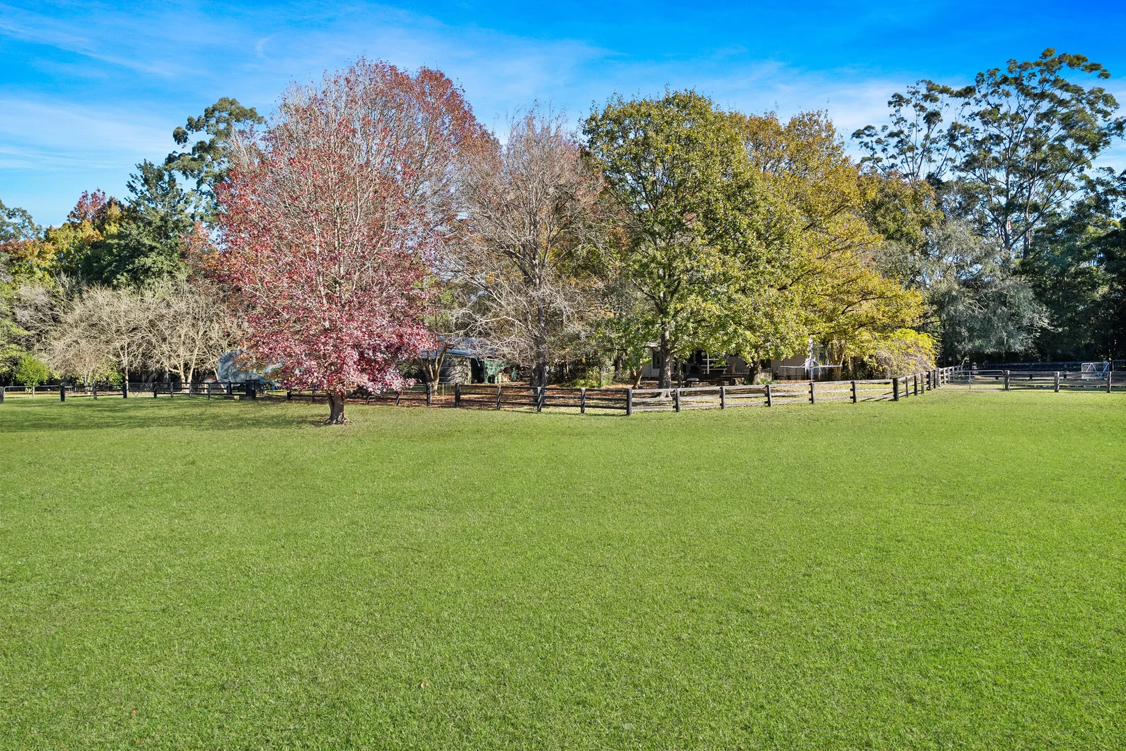 Additional image 13 of 1559 Mandalong Road, Dooralong NSW 2259