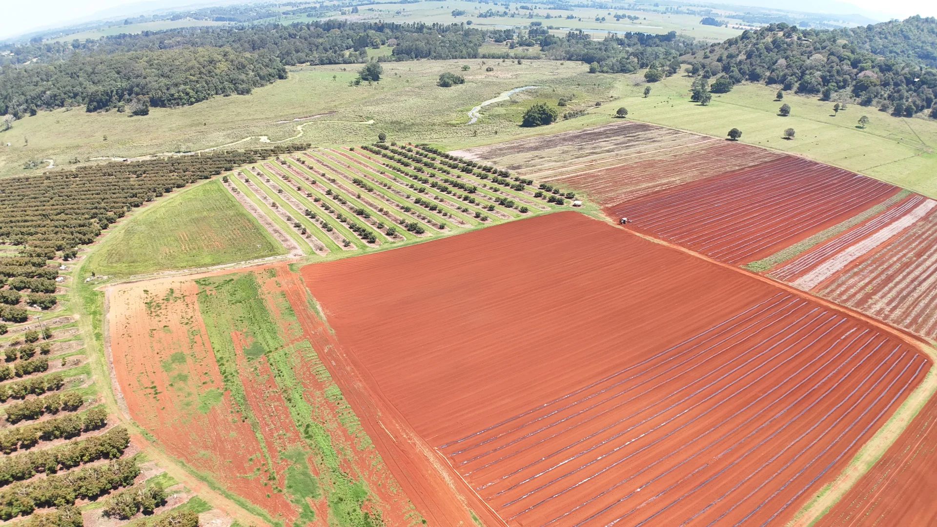 Additional image 10 of 767 Peeramon Road, Peeramon QLD 4885