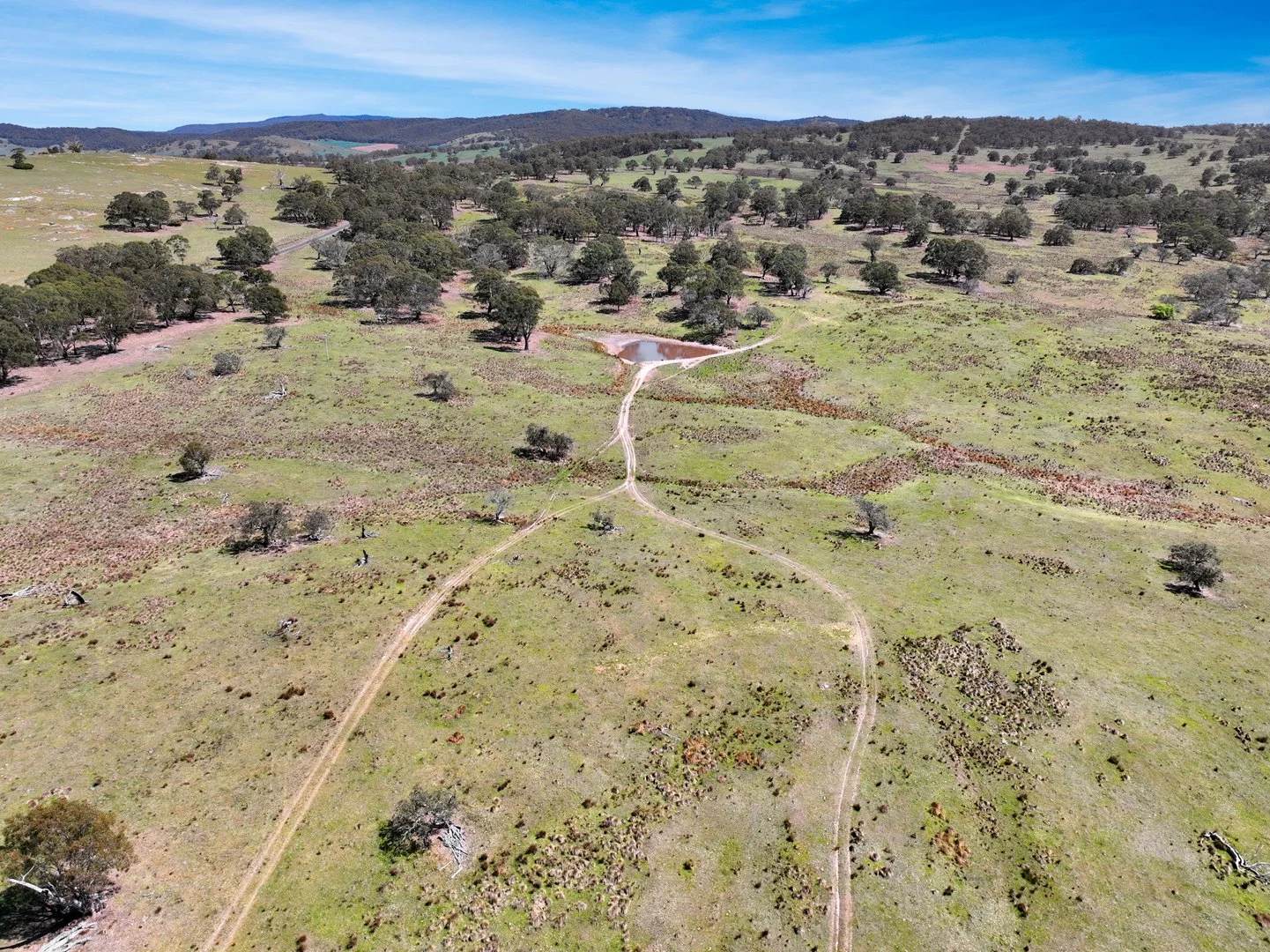 Additional image 34 of "Glenroy" Corrowong Road, Delegate NSW 2633
