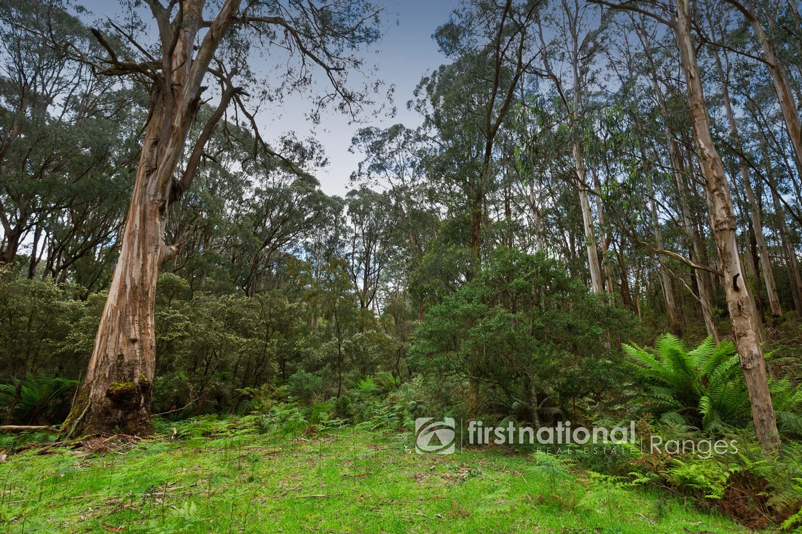 Additional image 12 of 171 Stewart Road, Emerald VIC 3782