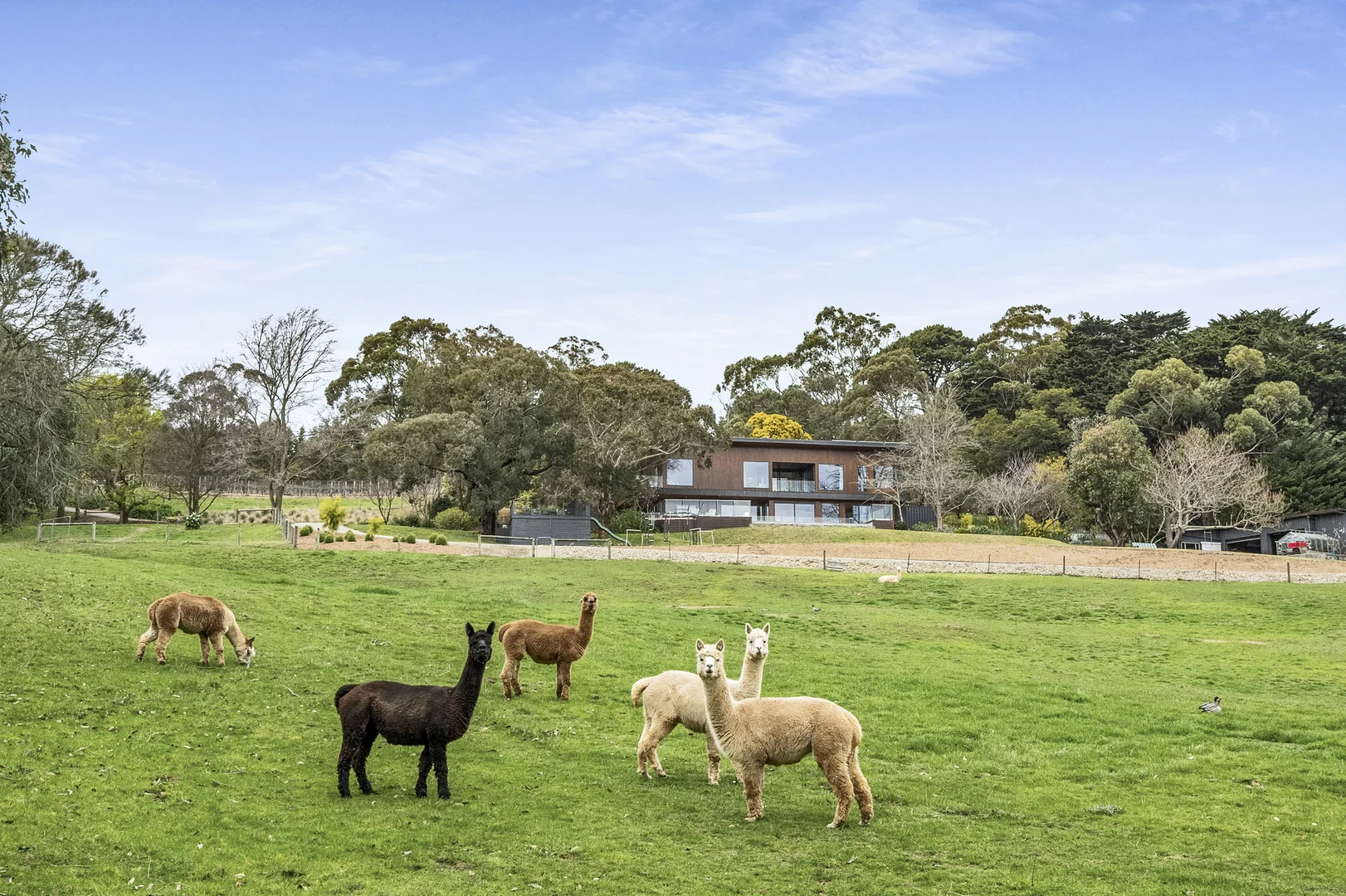 Additional image 23 of 72 Shoreham Road, Red Hill South VIC 3937