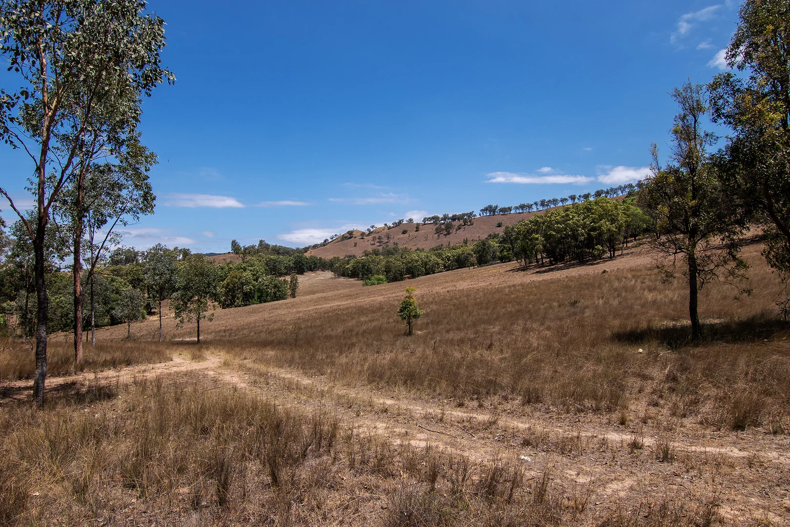 Additional image 7 of 856 Spring Flat Road, Spring Flat NSW 2850