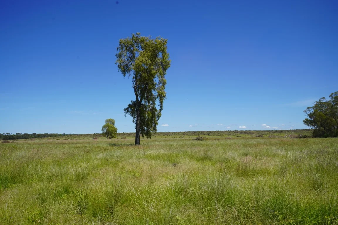 Additional image 7 of 1081 Tareela Access Road, Mungallala QLD 4467