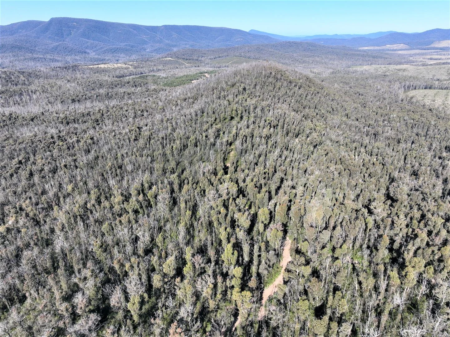 Additional image 9 of Lot 34, 35, 36, 79 Monaro Highway, Rockton NSW 2632