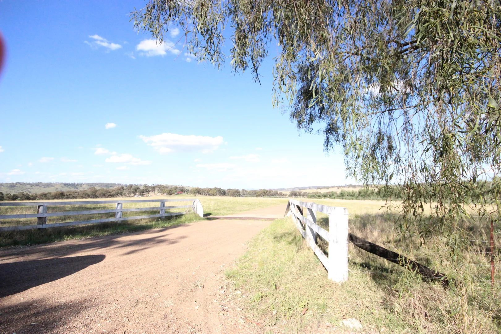 Additional image 2 of 207 Redmanvale Road, Jerrys Plains NSW 2330